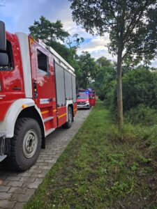 Feuerwehrfahrzeuge im Einsatz nach Sturm, mehrere Baumsperren werden beseitigt.