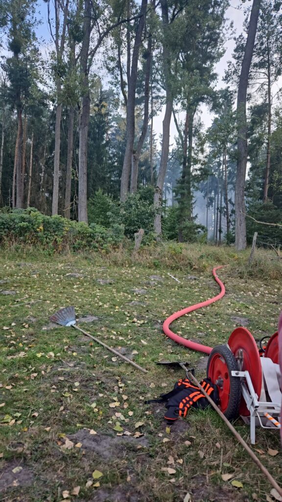 Feuerwehrschlauch und Rechen im Wald