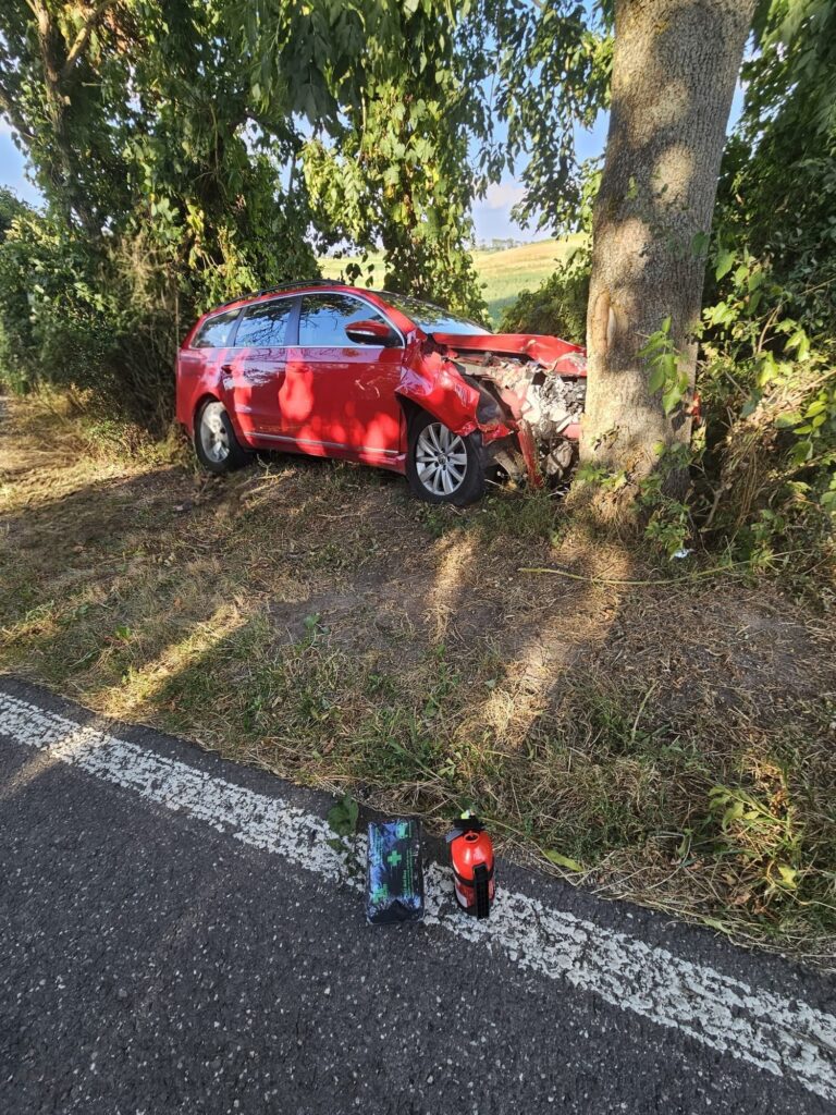 Auto-Unfall mit Baum am Straßenrand